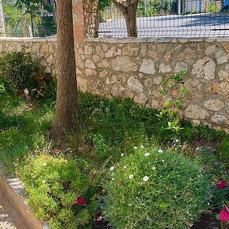 Guesthouse Shehu كساميل المظهر الخارجي الصورة