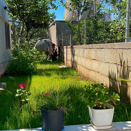 Guesthouse Shehu كساميل المظهر الخارجي الصورة